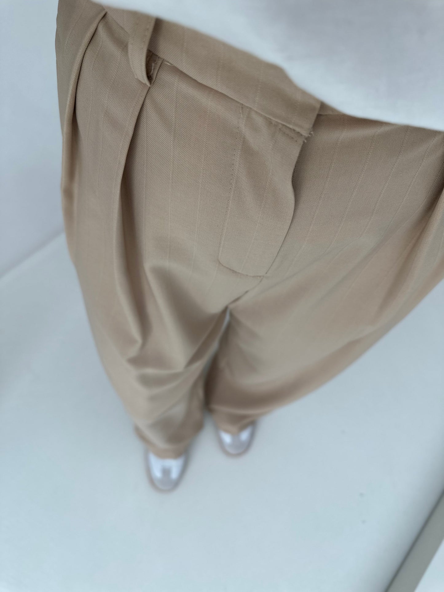 Pantalone con pence Gessato Beige
